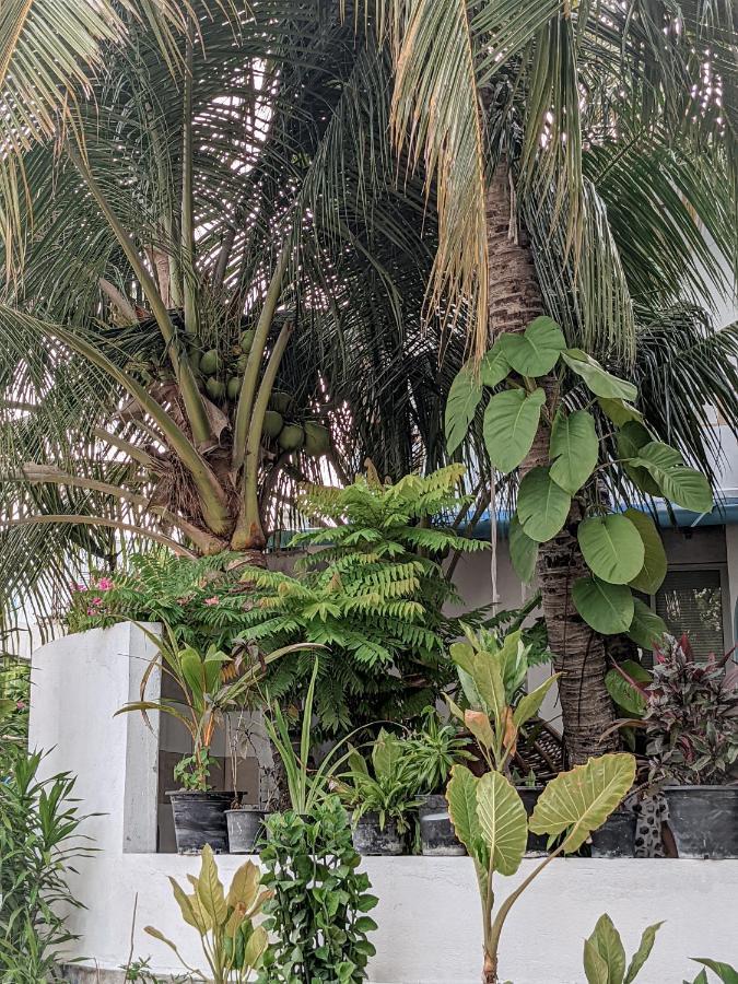 Dhoadhi Retreat Hotel Thulusdhoo Exterior photo
