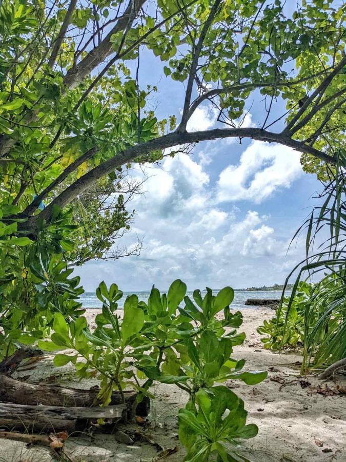 Dhoadhi Retreat Hotel Thulusdhoo Exterior photo