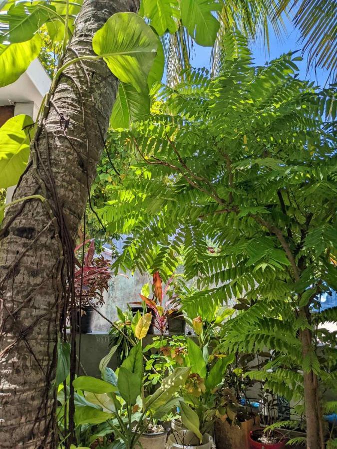 Dhoadhi Retreat Hotel Thulusdhoo Exterior photo